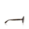 Roller Lb0005 – okulary przeciwsłoneczne – acetat – ciemny kolor Havana
