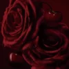 Rose Fatiche – woda perfumowana 40 ml Rose Fatiche – woda perfumowana 40 ml